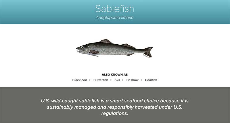 O Fishwatch.gov diz que pesca do sablefish é sustentável. Imagem, site do www.fishwatch.gov.