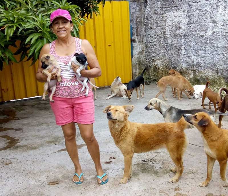 A situação de Norinha revoltou defensores dos animais em Manaus e em Manacapuru (Foto arquivo pessoal)