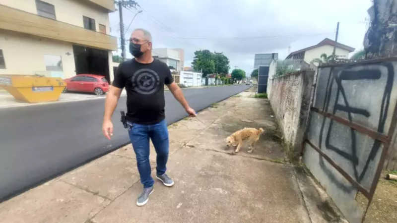 Animais em situação de maus-tratos são resgatados pela Polícia Civil em Macapá