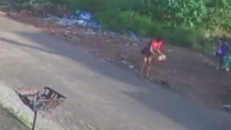 Jovem é suspeita de matar gato com bloco de concreto na frente de várias crianças em Trindade; vídeo