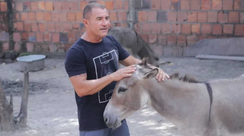 Professor resgata jumentos vítimas de maus-tratos em São Luís, MA; mais de dez animais já foram retirados do abandono