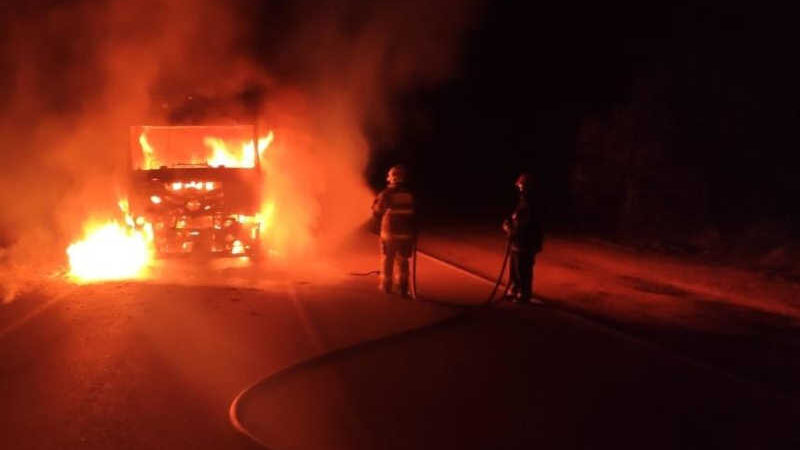 Caminhão que transportava porcos pega fogo e 128 animais morrem em MG