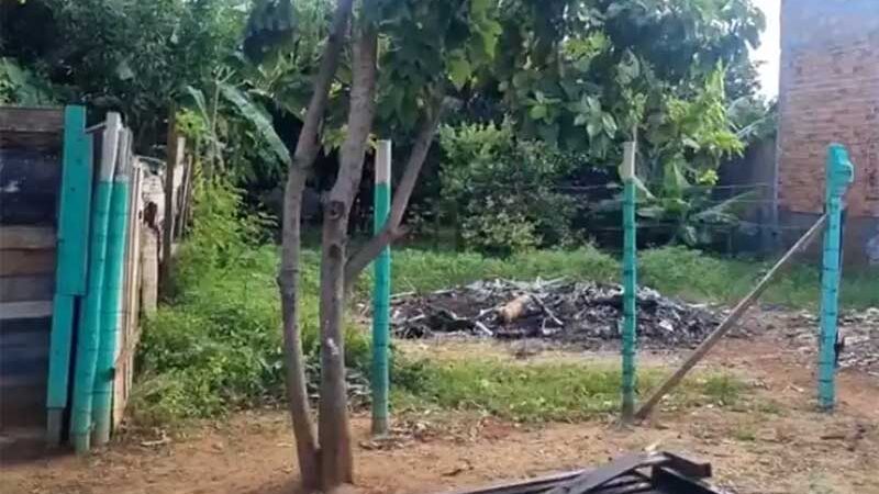 Suspeito de ter matado nove cães queimados deve se apresentar em Uberaba, MG