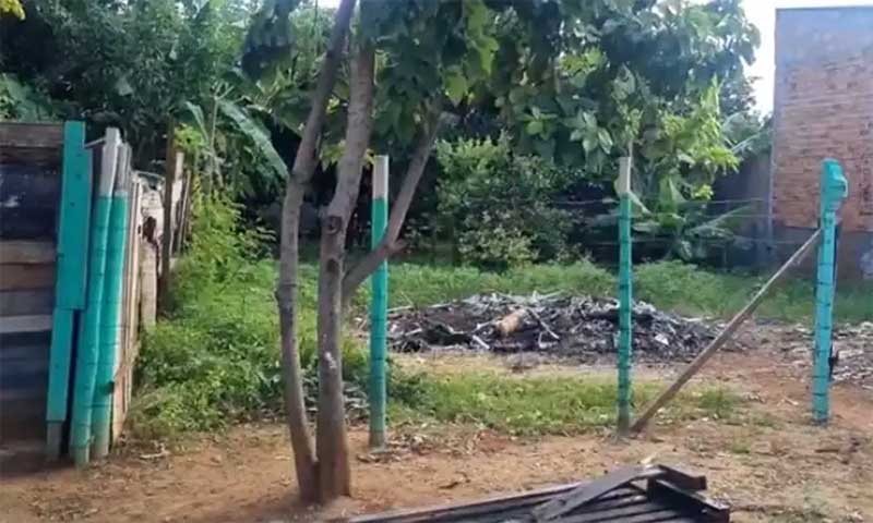 Suspeito de ter matado nove cães queimados deve se apresentar em Uberaba, MG