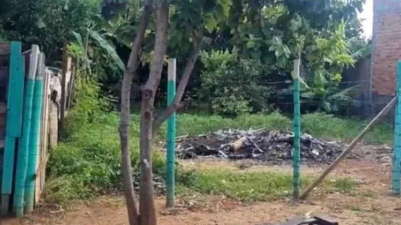 Dois cães são queimados vivos por homem que está foragido em Uberaba, MG