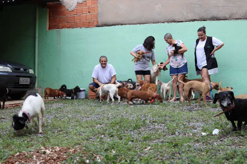 Família de Vera Lucia com os animais quando chegaram em Mato Grosso — Foto: Arquivo pessoal/Hamda Untar