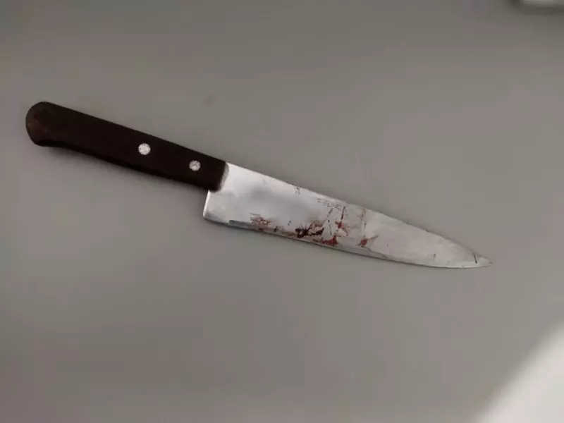 Uma faca de cozinha foi utilizada para cortar o rabo | Foto: PM