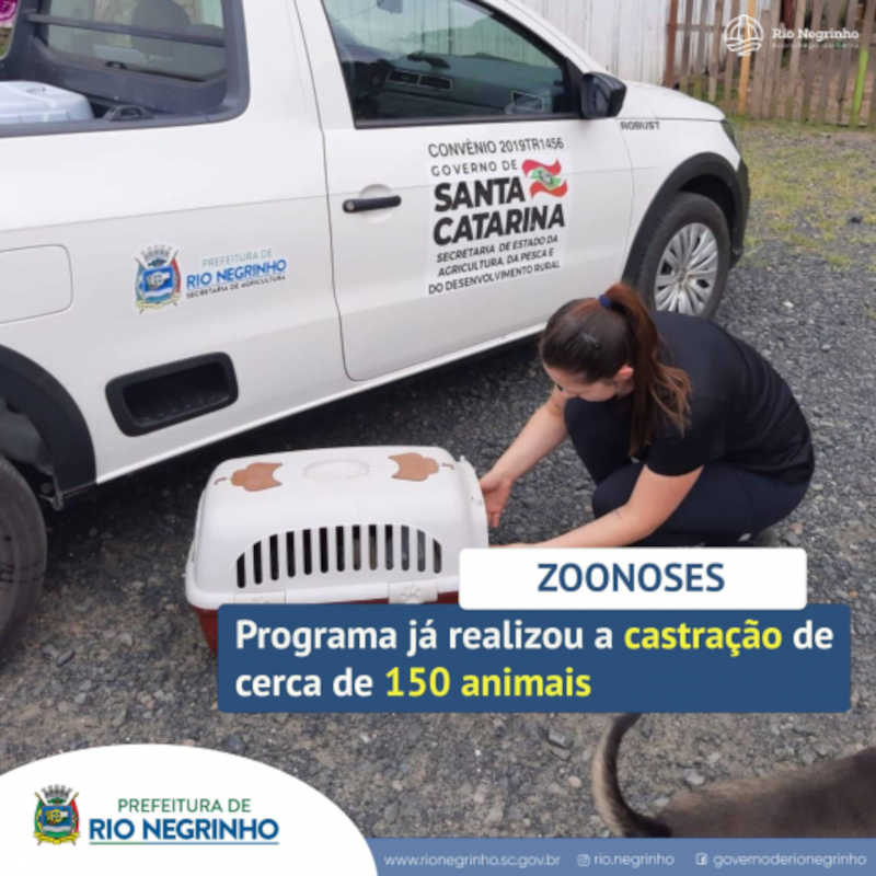 Programa já realizou a castração de cerca de 150 animais em Rio Negrinho, SC
