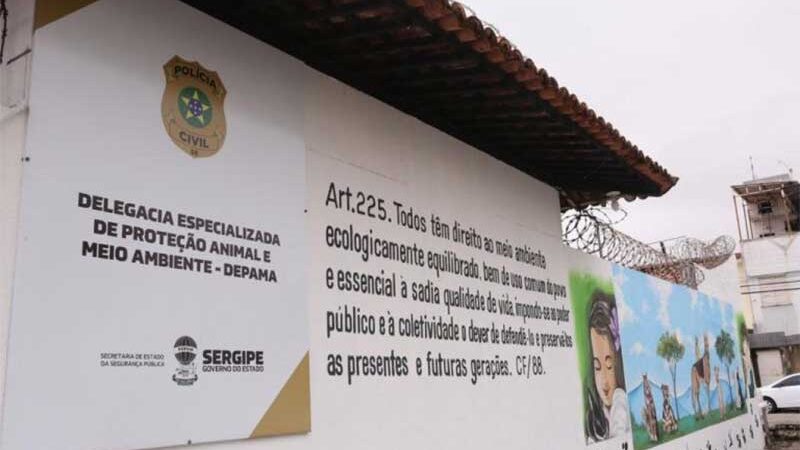 Polícia busca identificar suspeito de espancar cavalo em Aracaju, SE; VÍDEO