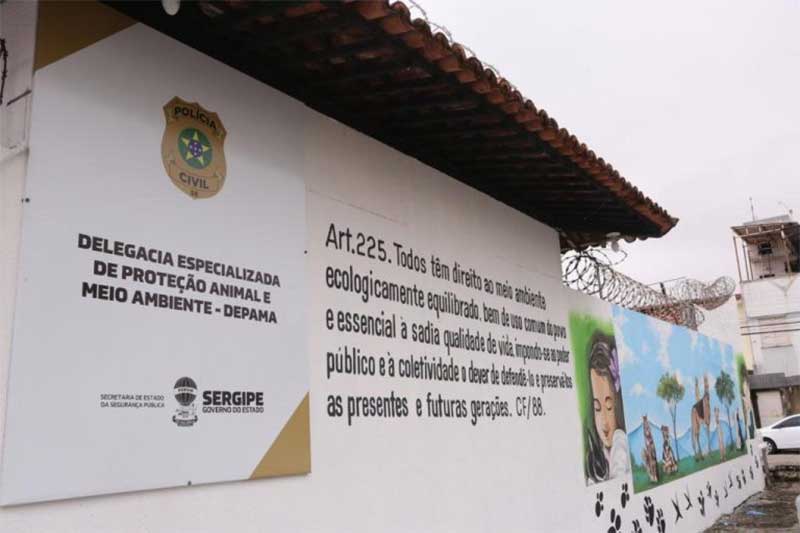 Polícia busca identificar suspeito de espancar cavalo em Aracaju, SE; VÍDEO