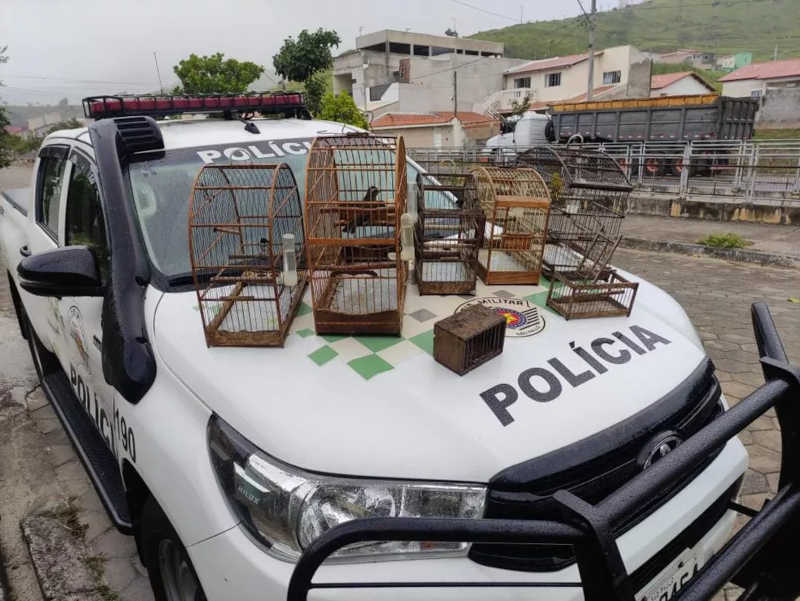 Polícia Ambiental apreende 27 aves silvestres em cativeiro em Taubaté e Jacareí, em SP