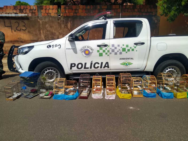 Polícia resgata aves e aplica multa de mais de R$ 20 mil em Bauru, SP