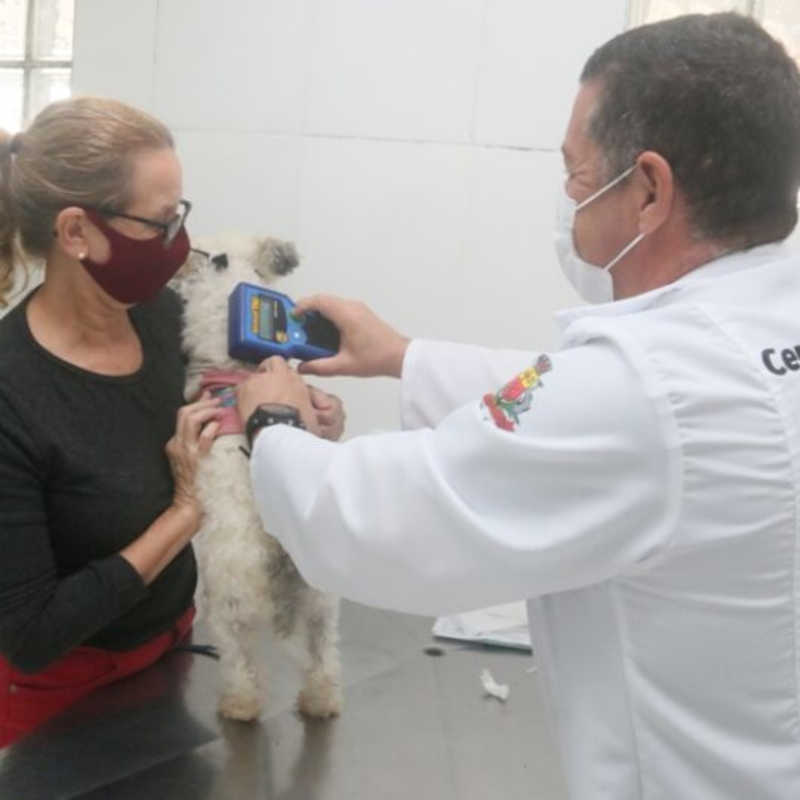 CCZ de Caraguatatuba (SP) agenda em um dia os 400 animais para castração