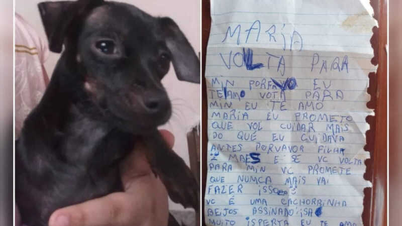 Menina escreve carta emocionante para cachorra que sumiu em SP: ‘Volta para mim’