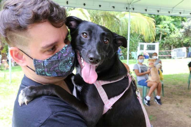 Prefeitura abre 1.000 vagas para castração de cães e gatos em São José dos Campos, SP