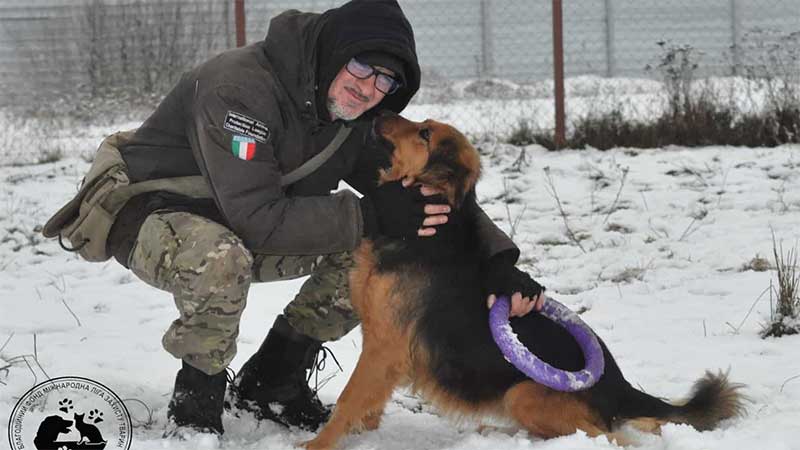 “Não os abandono”: dono de abrigo de animais recusa-se a sair da Ucrânia