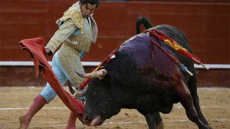 Toureiro espanhol Morante de la Puebla luta contra touro durante tourada do Festival Fallas, em Valência. Foto: Juan Carlos Cardenas/EPA