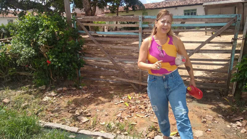 Cuidadora de animais denuncia mortes de gatos no bairro Primavera em Arapiraca - Foto: Fábio Lopes / 7 Segundos