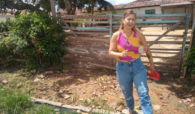 Cuidadora de animais denuncia maus-tratos e envenenamento de gatos em Arapiraca, AL; VÍDEO