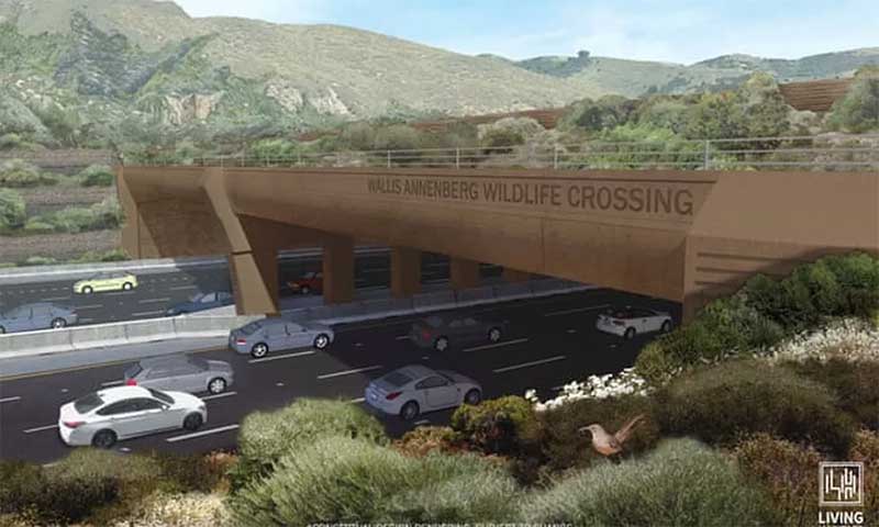 Construção da ponte que promete ser a maior travessia de animais do mundo tem início na Califórnia