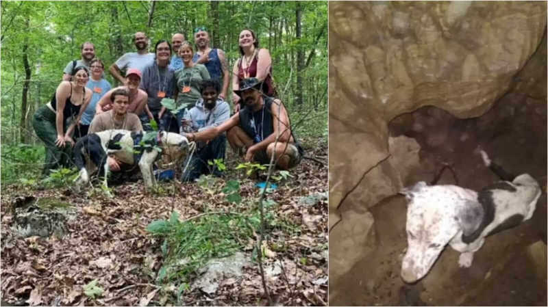 Pessoas que exploravam caverna encontram cachorro perdido há 9 metros de profundidade