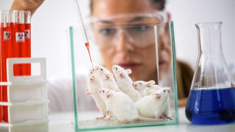 USDA processado judicialmente por política secreta que permite evitar inspecionar instalações de animais de laboratório