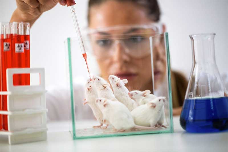 USDA processado judicialmente por política secreta que permite evitar inspecionar instalações de animais de laboratório