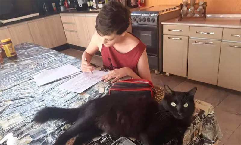 O irmão de Júlia, César, estuda com a companhia dos gatos. (foto: Júlia Corrêa/Divulgação)