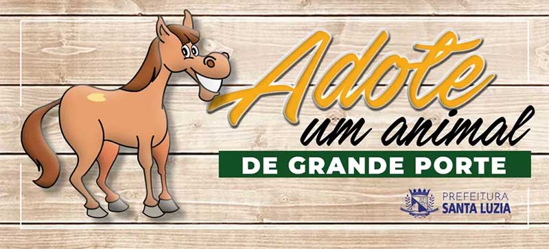 Cavalos e éguas podem ser adotados em Santa Luzia, na Grande BH; veja regras