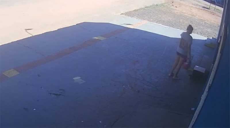 Câmera flagra mulher abandonando cãozinho na porta de clínica veterinária em Campo Grande, MS; VÍDEO