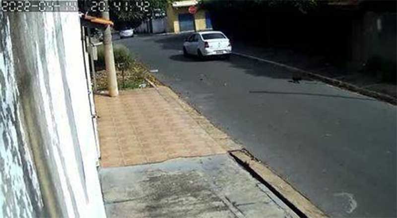 Motorista joga gato para fora do carro e o atropela em Cuiabá, MT; veja vídeo
