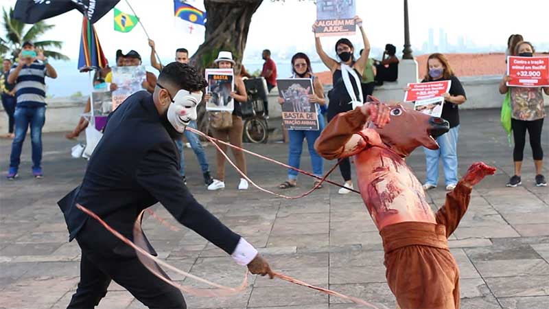 Ativistas fazem ato cobrando aplicação de lei que proíbe tração animal em Recife, PE