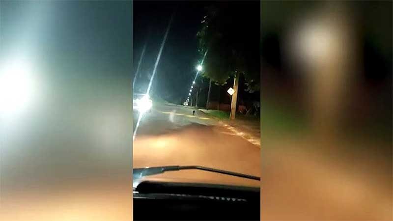 Crueldade: vídeo mostra cachorrinho correndo atrás do carro que o teria abandonado em Cascavel, PR