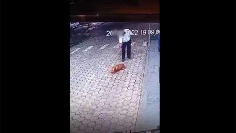 VÍDEO: homem é flagrado batendo e chutando cachorro em condomínio de Cacoal, RO — Foto: Reprodução