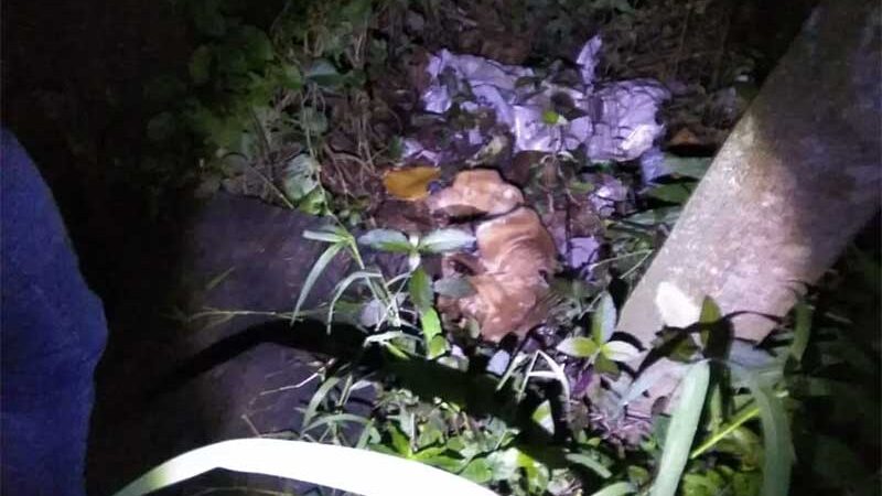 Cachorro debilitado é encontrado amarrado em terreno baldio em Balneário Camboriú, SC