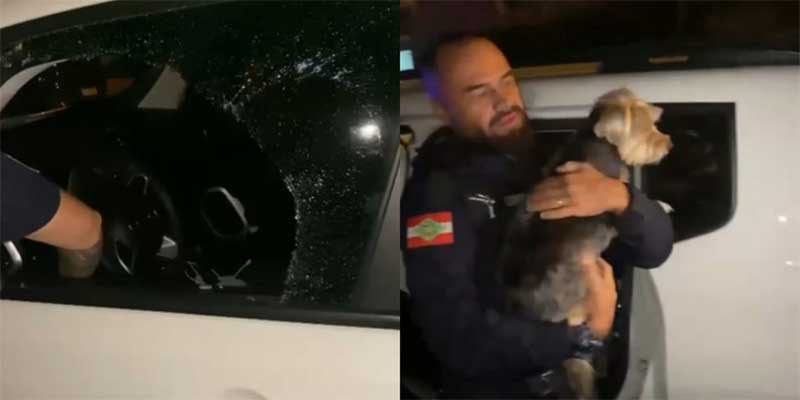 Guarda Municipal de Balneário Camboriú (SC) resgata cãozinho trancado em veículo