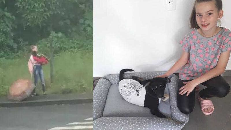 Família da menina de 12 que agasalhou cadelinha ferida na chuva adota animal