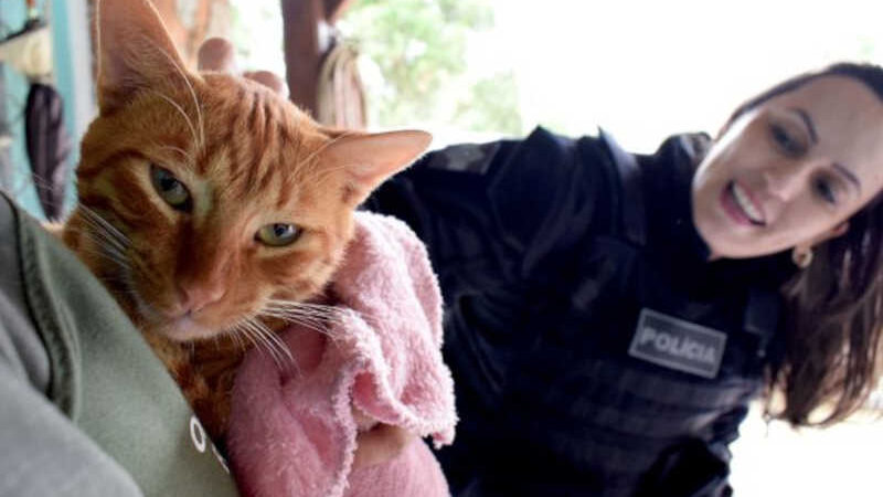 Presídio Regional de Tijucas (RJ) entrega mantas para protetores de animais