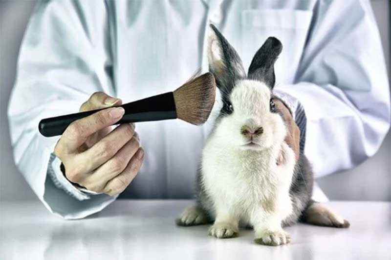 Regra dispensa testes em animais para produzir vacinas veterinárias