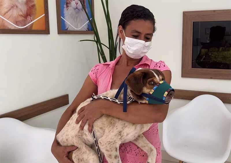Vídeo de funcionário de canil municipal abandonando cachorra viraliza em Botucatu, SP; prefeitura investiga caso