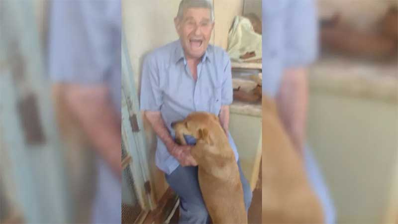 Idoso de 90 anos viaja a cidade vizinha para visitar canil e decide adotar cadela: ‘Amor à primeira vista’, diz filho