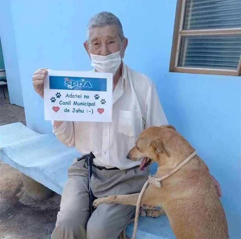 Em janeiro, Mila recebeu um novo lar ao lado de tutor João, idoso aposentado de 90 anos — Foto: Canil Municipal/Divulgação