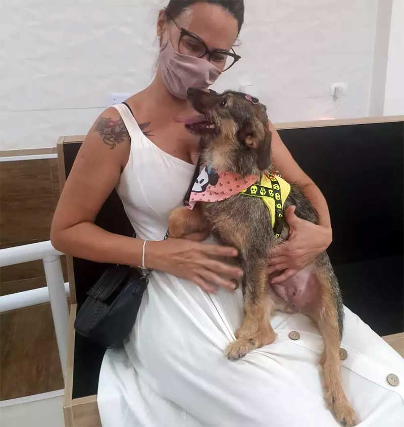 Popy criou muito amor por nova tutora após ser devolvida duas vezes por outras famílias — Foto: Divulgação/ONG Viva Bicho