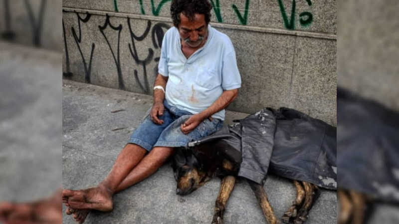Homem sem-teto dá sua jaqueta para cachorro com frio e repercussão tira os dois das ruas