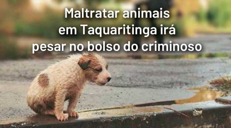 Câmara aprova lei que prevê multa para quem maltratar animais em Taquaritinga, SP