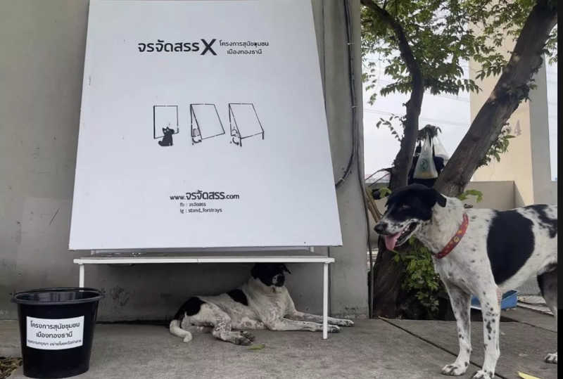 Projeto cria abrigos de outdoors reciclados para cães na Tailândia