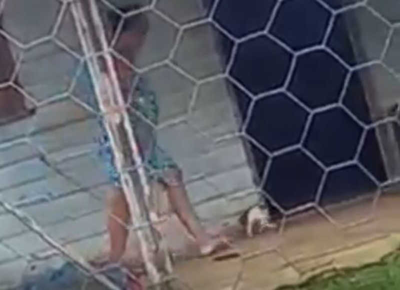 Mulher é flagrada chutando filhote de cachorro e é denunciada no interior do AM; veja vídeo