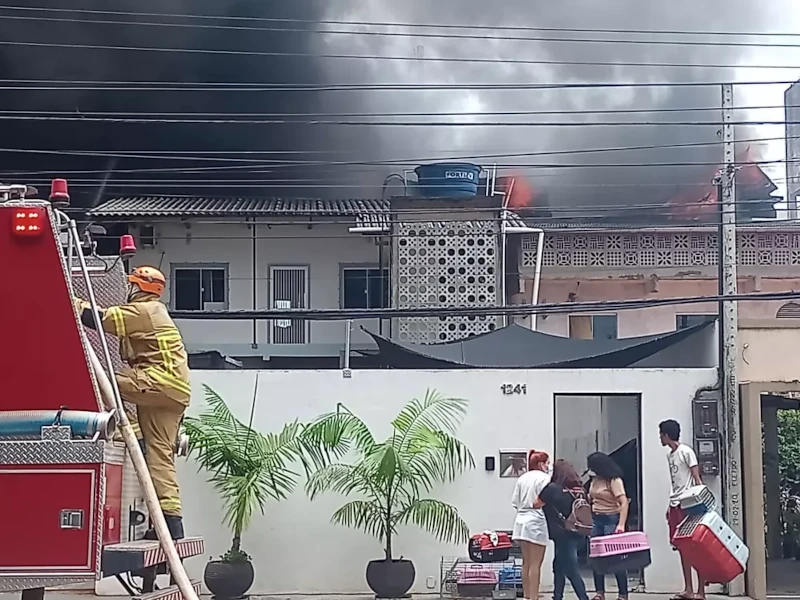 Animais sendo retirados da casa que no momento do incêndio — Foto: Albenir Sousa/Rede Amazônica