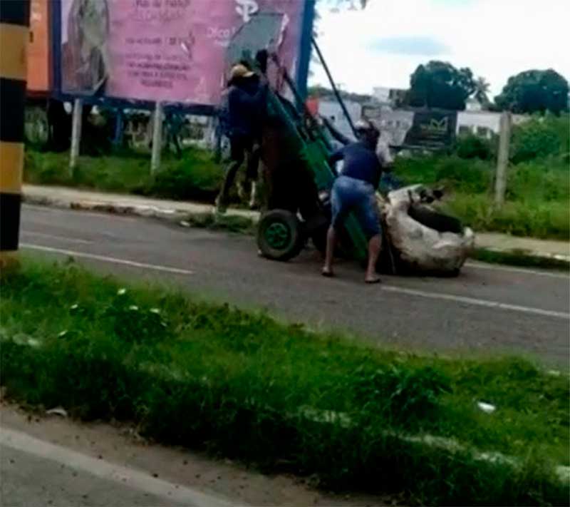 Cavalo fica pendurado em carroça por excesso de carga, no interior do Ceará