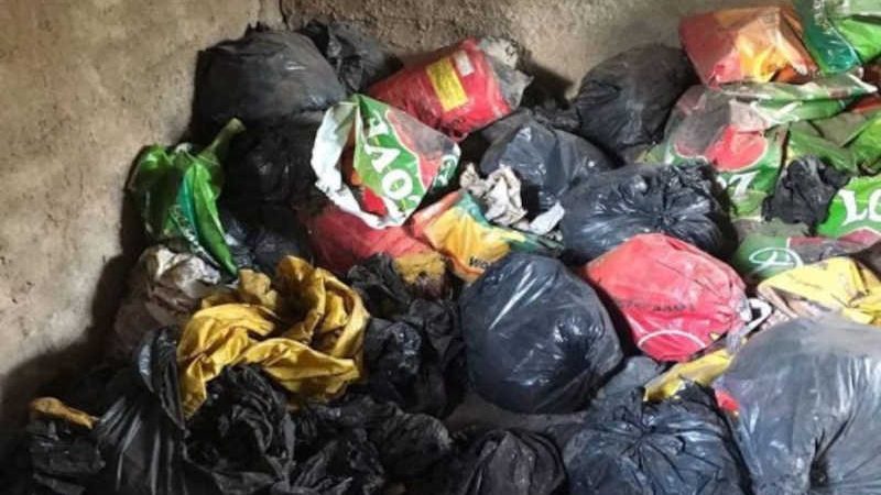Dono de chácara armazenava restos mortais de cães em sacos e freezers, em Brazlândia, DF
